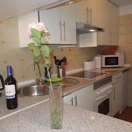 Apartment Vistamar Playa de las Americas (Tenerife)